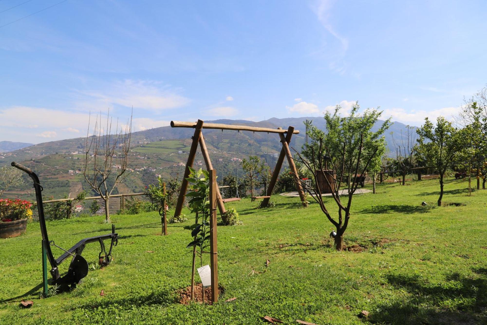 Casa Vale Do Douro Bed and Breakfast Mesão Frio Exteriör bild